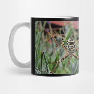 spiders in love Mug